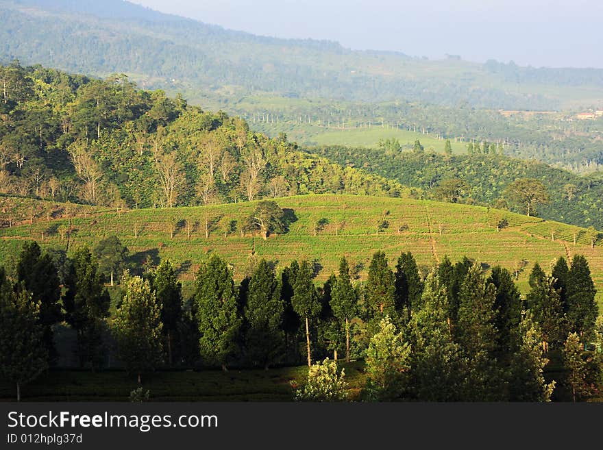 View from a hill overlooking other hills in the morning. View from a hill overlooking other hills in the morning