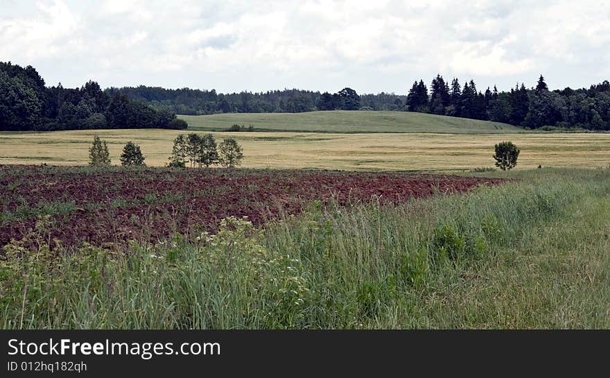 Rural landscape