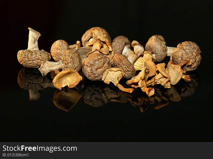 Dried Mushrooms