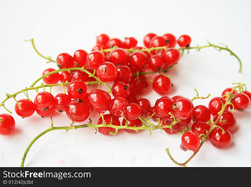 Very fresh and juicy red currant