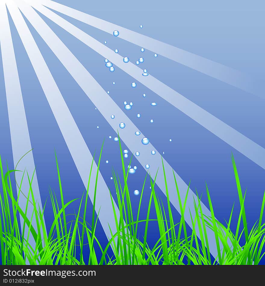 Aquarium with grass and bubbles, vector illustration