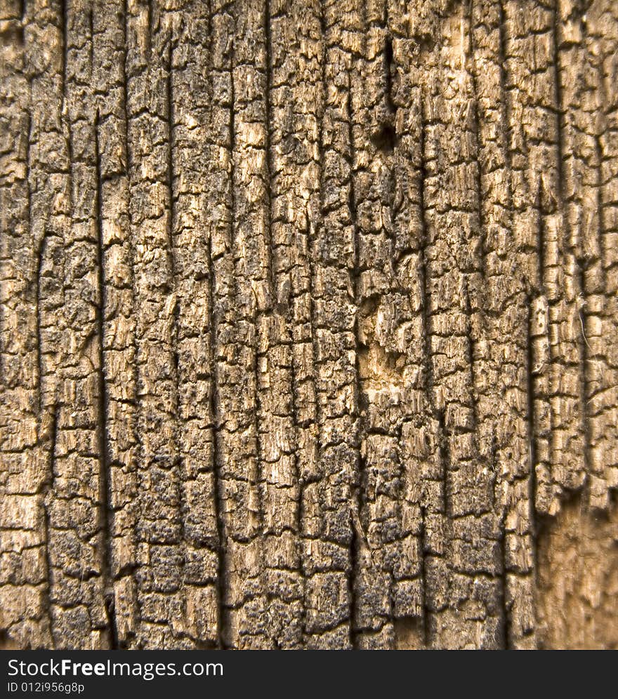 Old grunge wood deck background. Old grunge wood deck background