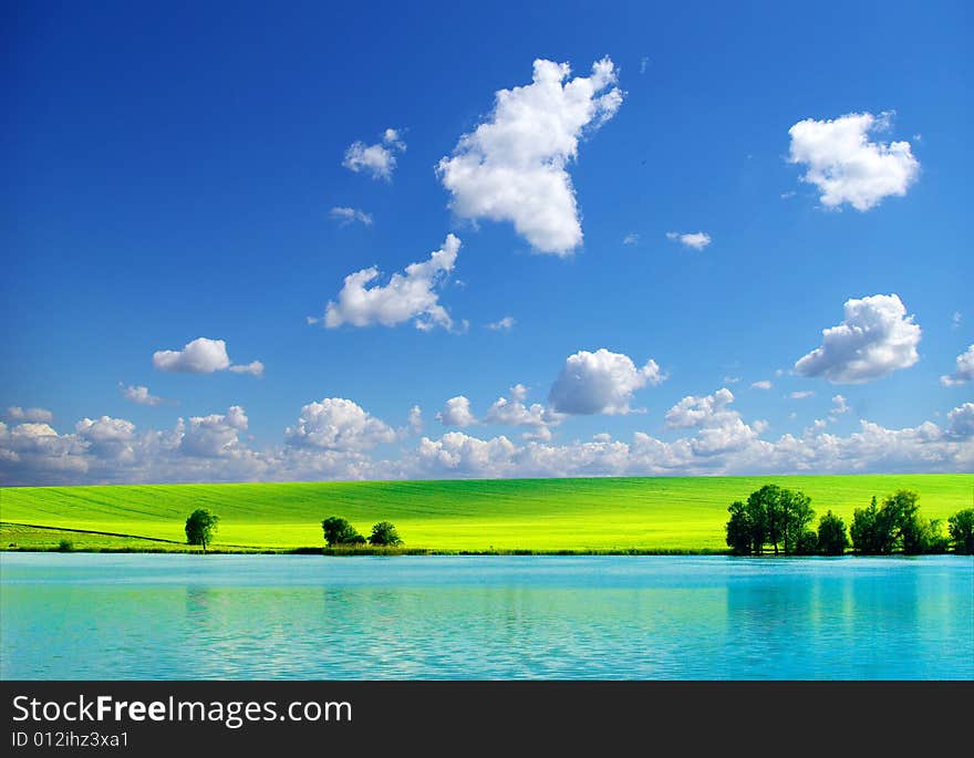 Field on a background of the blue sky. Field on a background of the blue sky