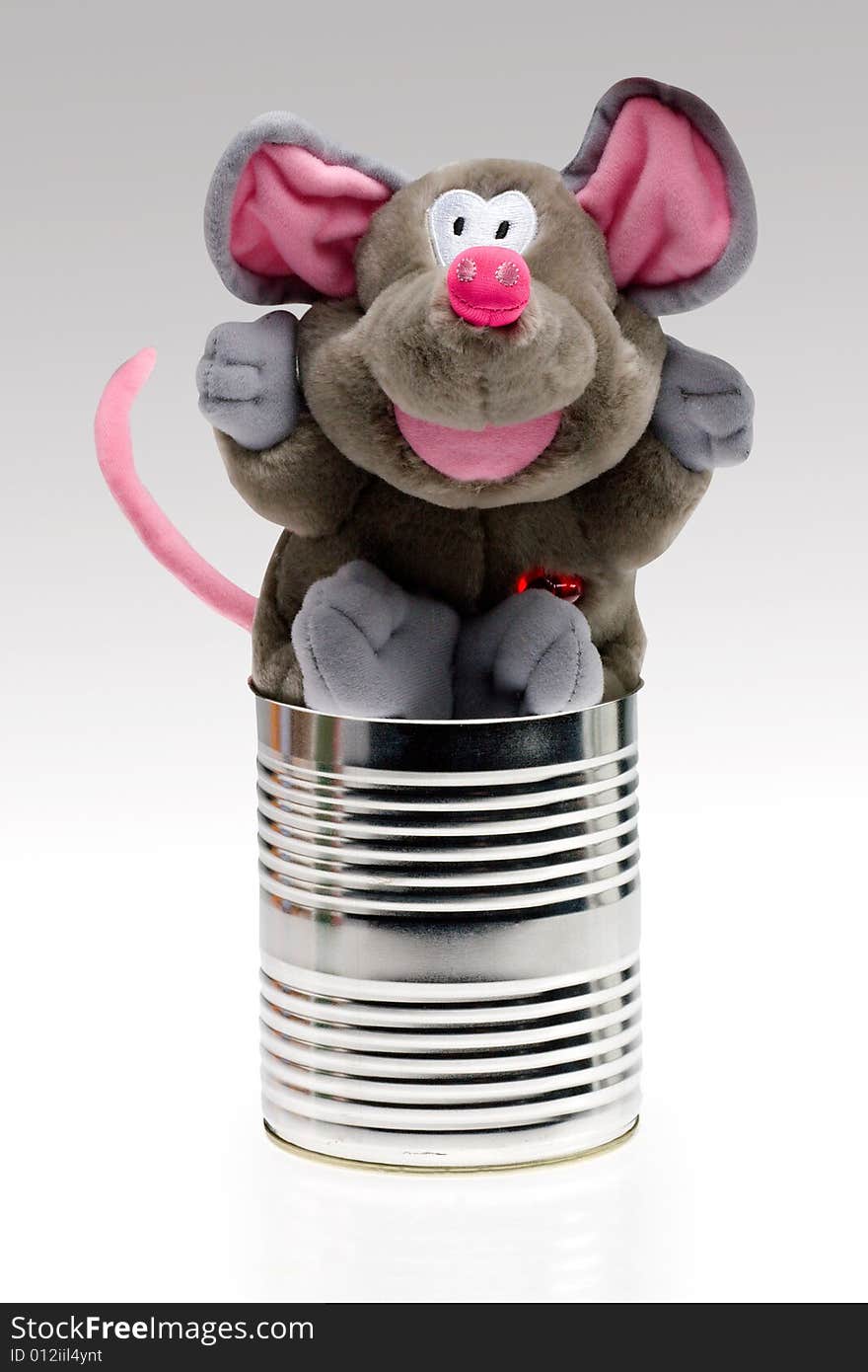 Stuffed toy animal in can