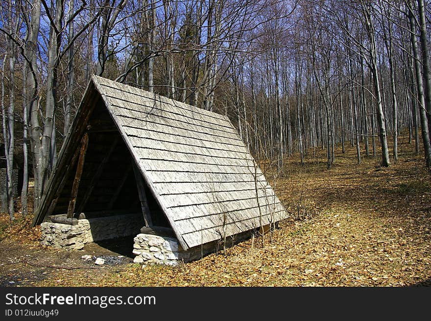 Log house in the forest. Log house in the forest