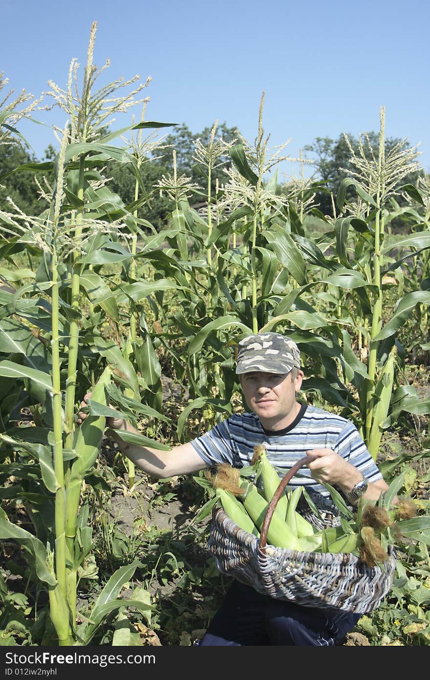 I like boiled corn. I grow its corn itself. my corn real
all natural! no chemistry!. I like boiled corn. I grow its corn itself. my corn real
all natural! no chemistry!