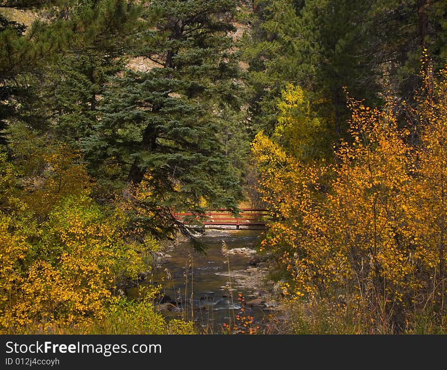 Autumn Bridge