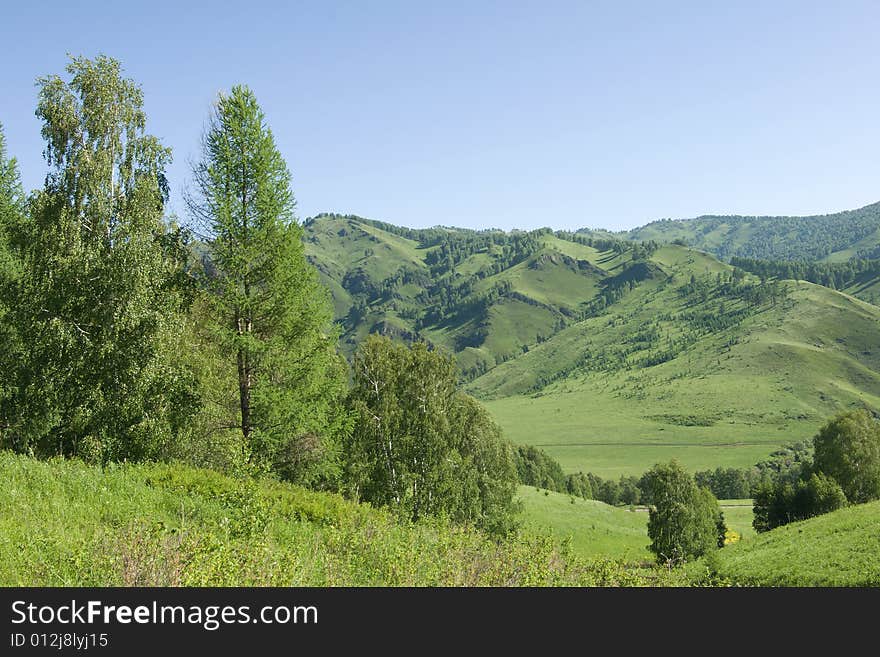 Mountains with green forest on blue sky. Mountains with green forest on blue sky