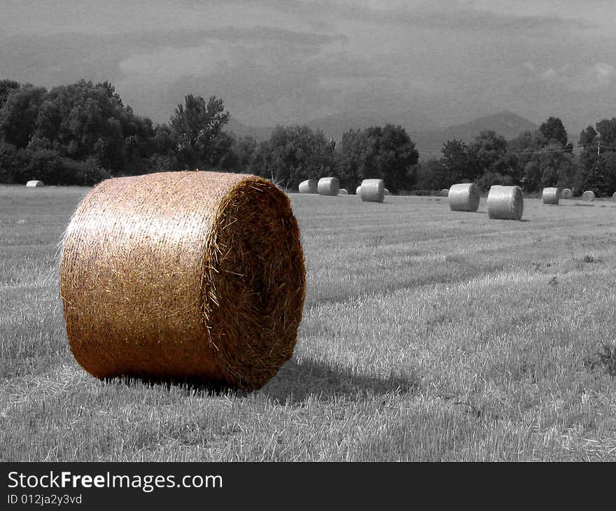 An hay's ball in a field. An hay's ball in a field