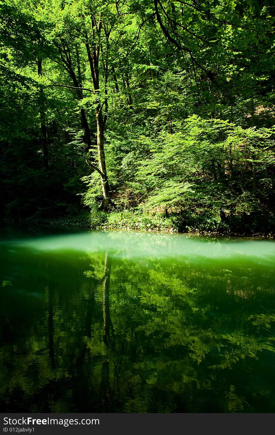 Forest river source scene, Croatia