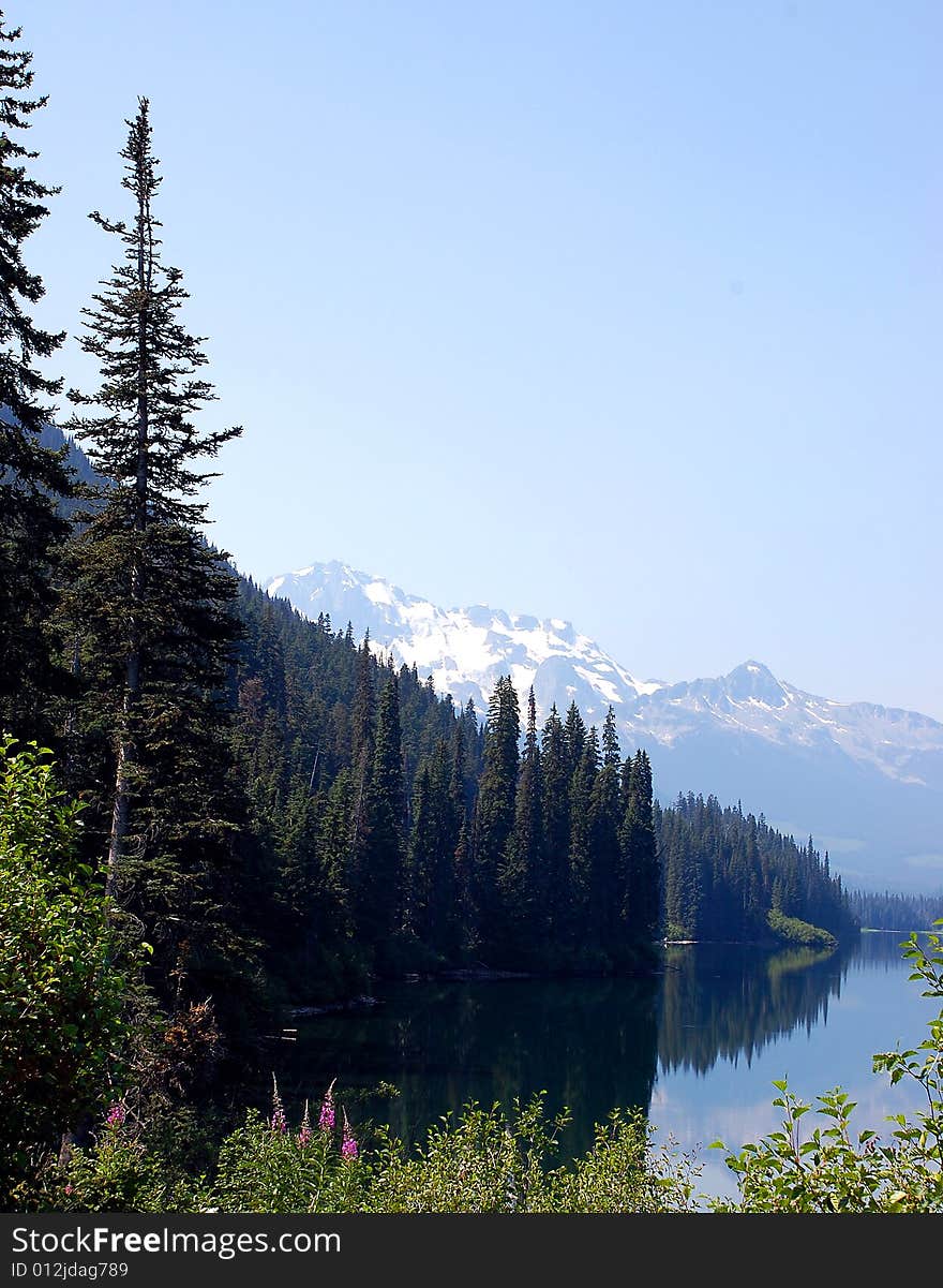 Reflective mountain lake with trees and wildflowers