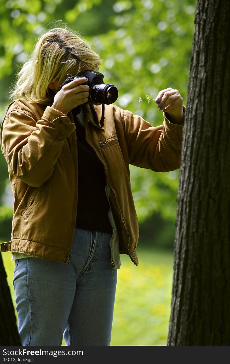 Woman photographer shooting a leaf on a tree