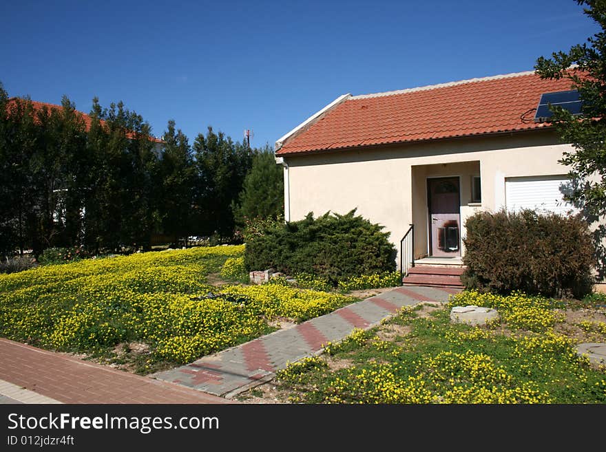 House with Daisies