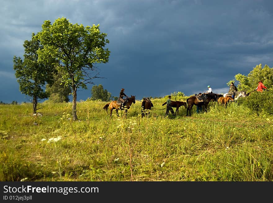 Silhouette of a horse on teh field