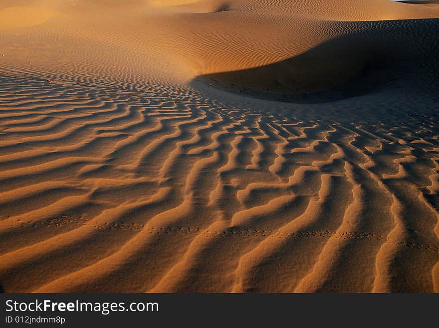 Golden Sand Curves