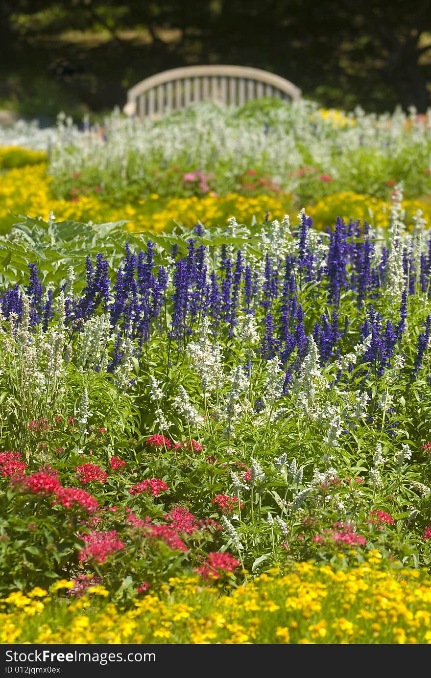 Amazing variety of colorful flowers planted in the park. Amazing variety of colorful flowers planted in the park.