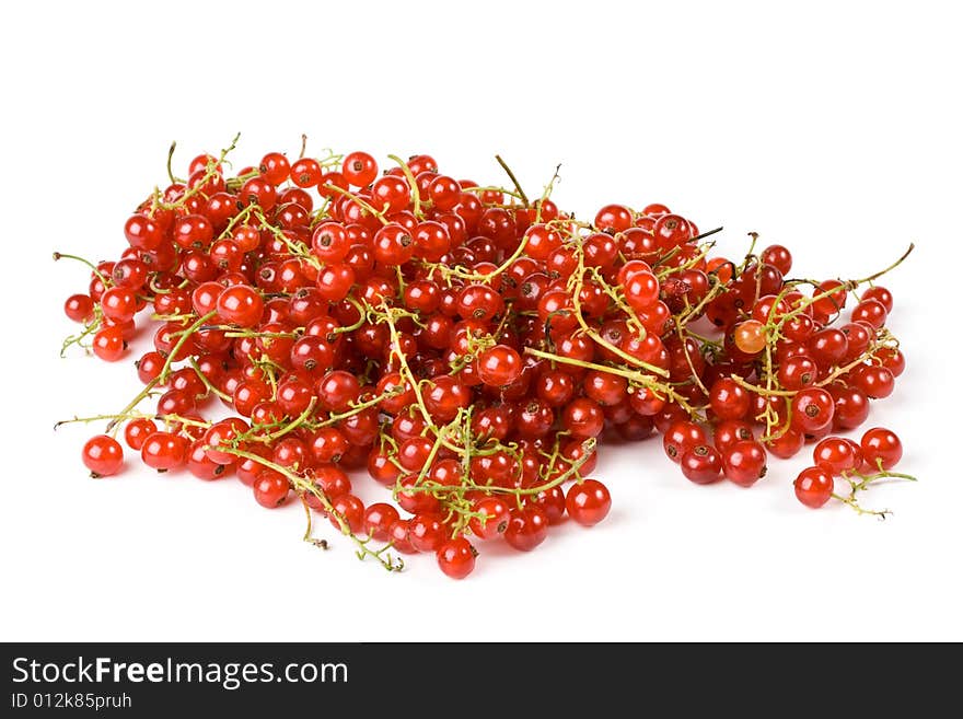 Red currant