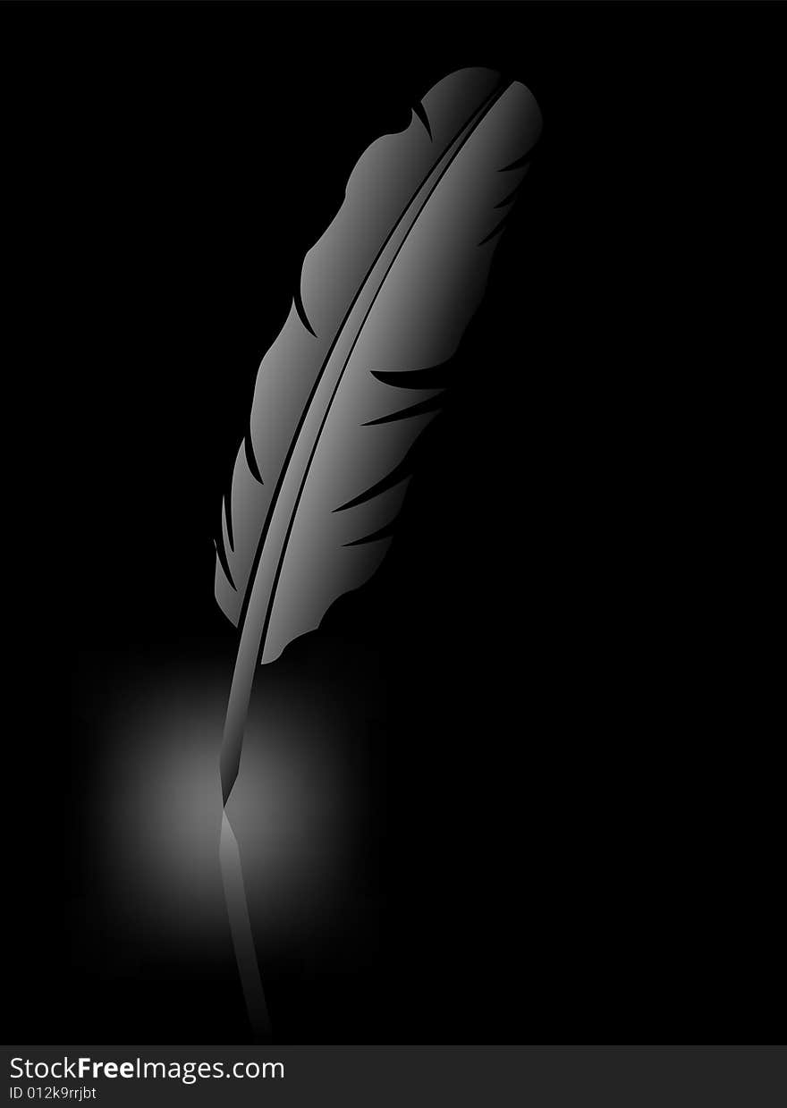 Feather on black background, vector illustration