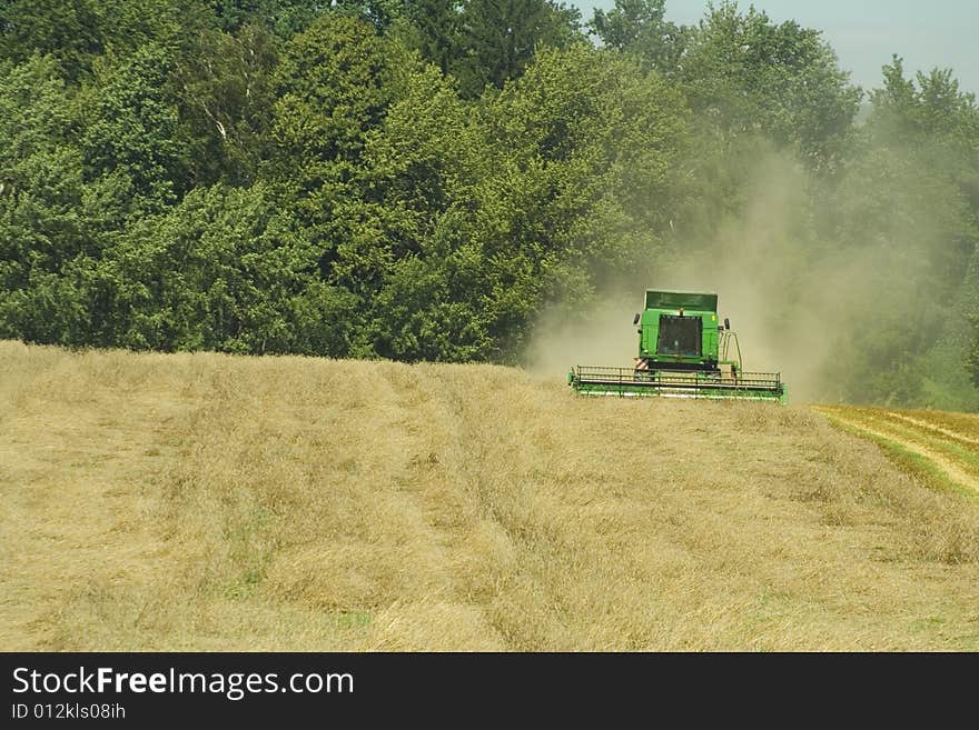 Harvester gathers bad crop of wheat. Harvester gathers bad crop of wheat