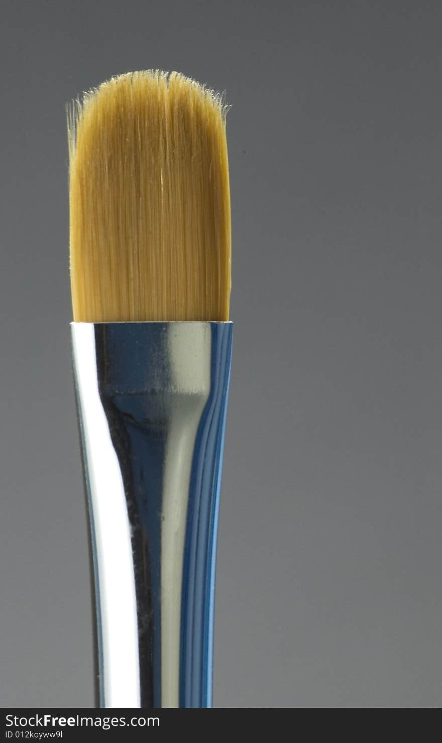 Paint Brush