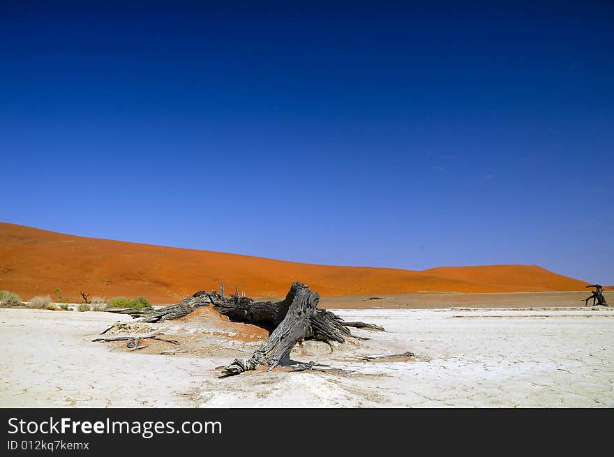 Dead trees with dunes in the background (Namib Desert, Namibia). Dead trees with dunes in the background (Namib Desert, Namibia)