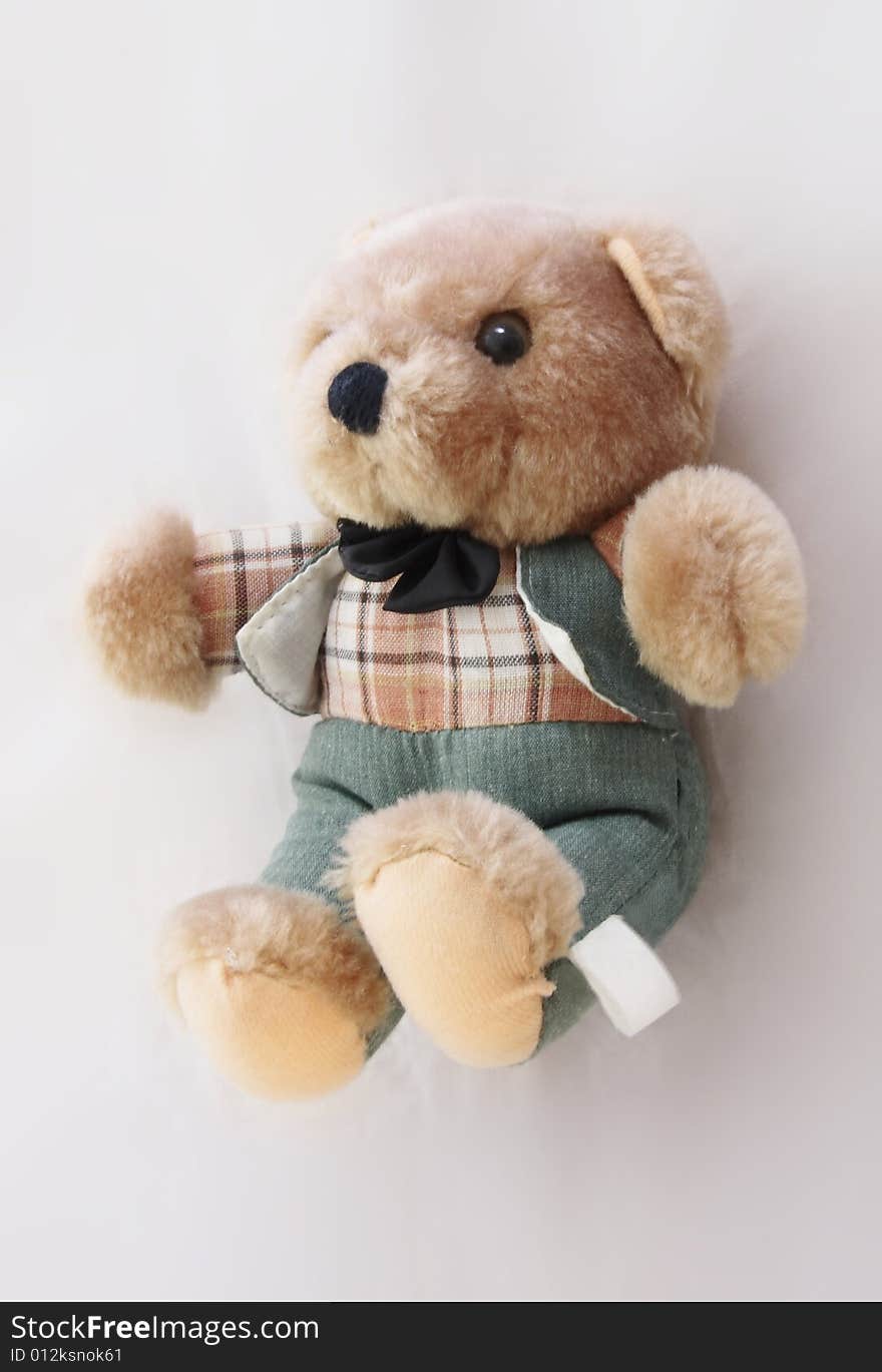 Dressed Teddy Bear