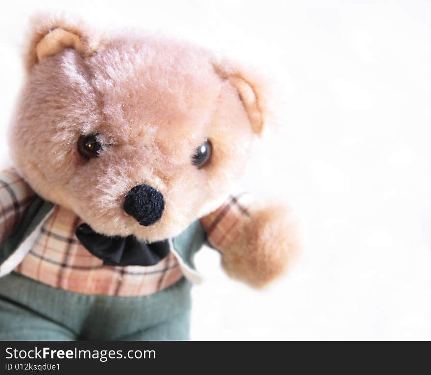 Dressed teddy bear