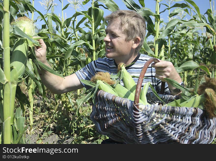 I like boiled corn. I grow its corn itself. my corn real
all natural! no chemistry!. I like boiled corn. I grow its corn itself. my corn real
all natural! no chemistry!