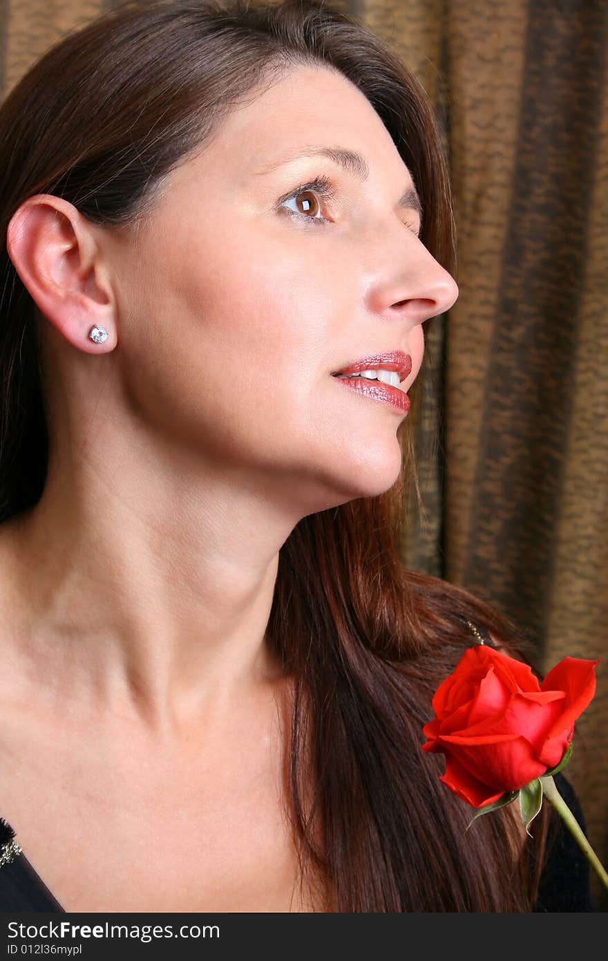 Brunette model holding a red rose, looking into the distance. Brunette model holding a red rose, looking into the distance