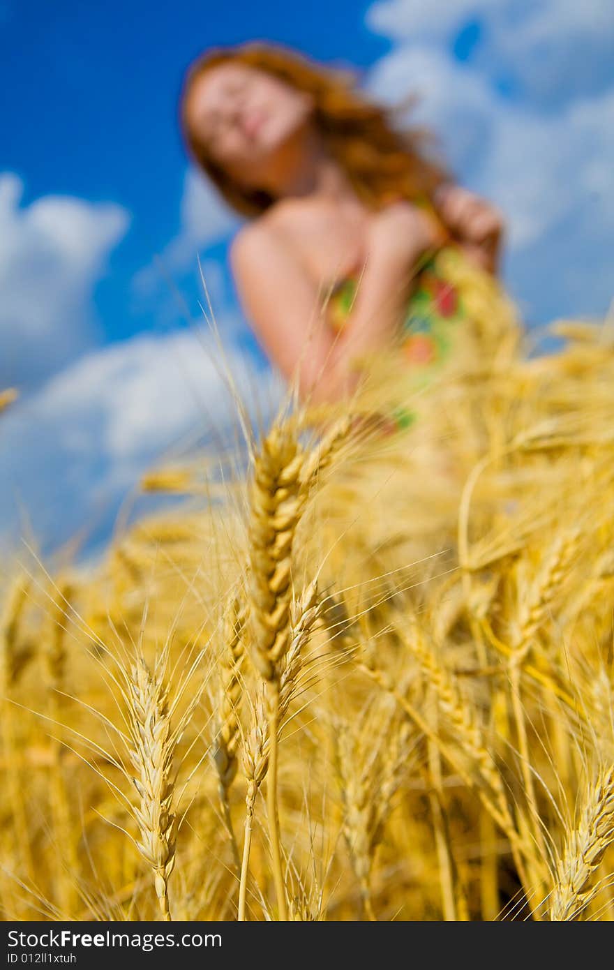 Beautiful caucasian model in golden wheat field. Beautiful caucasian model in golden wheat field