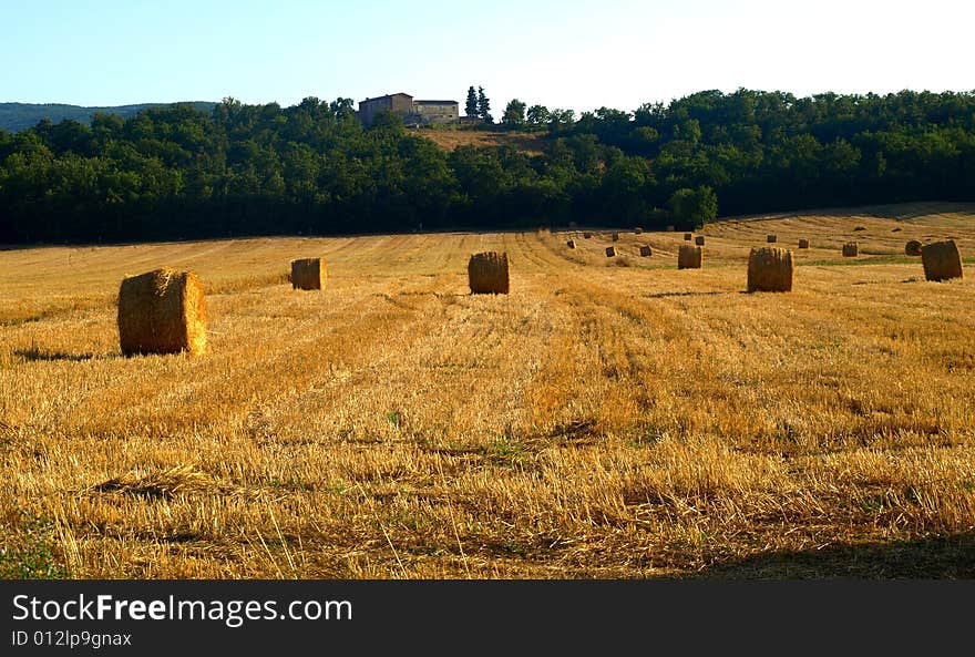 Tuscany landscape