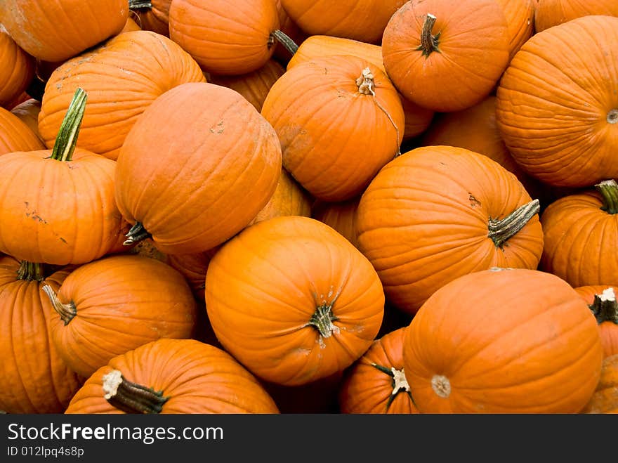 Piles of pumpkins in the fall