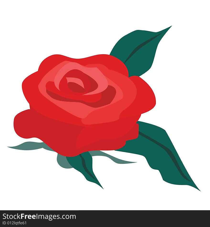 Illustration of a red rose