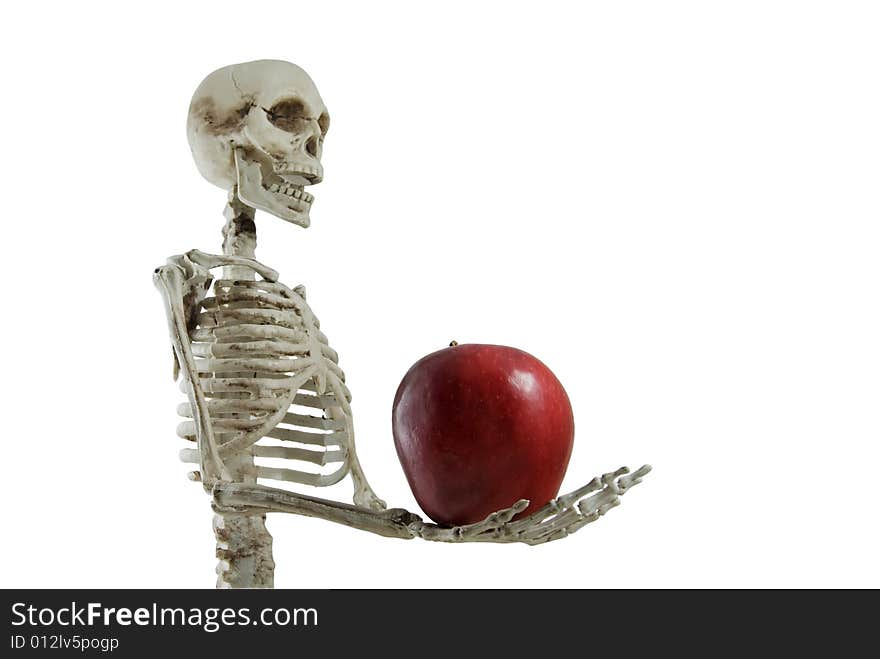 Skeleton holding an apple in his hand, isolated on white. Skeleton holding an apple in his hand, isolated on white