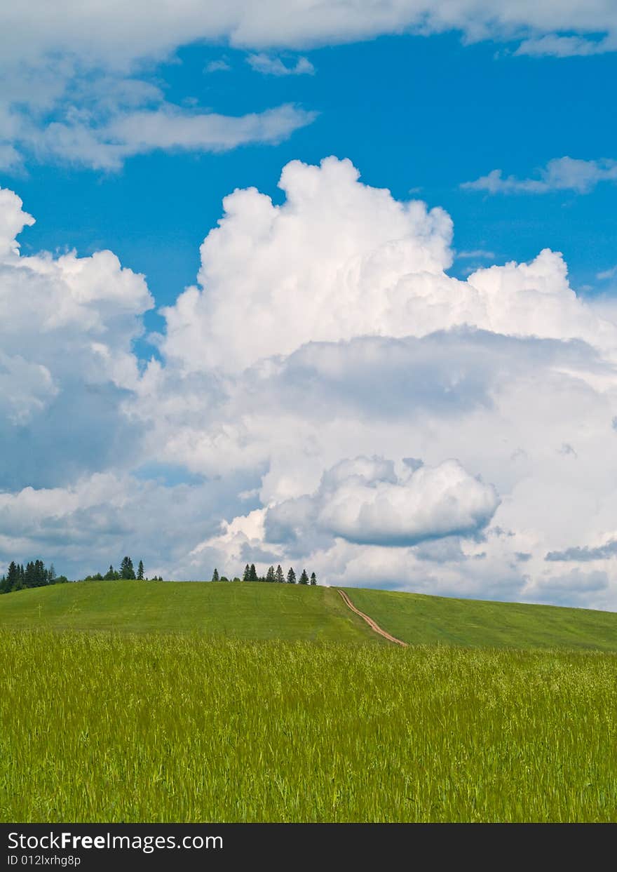 Summer Landscape In Countryside