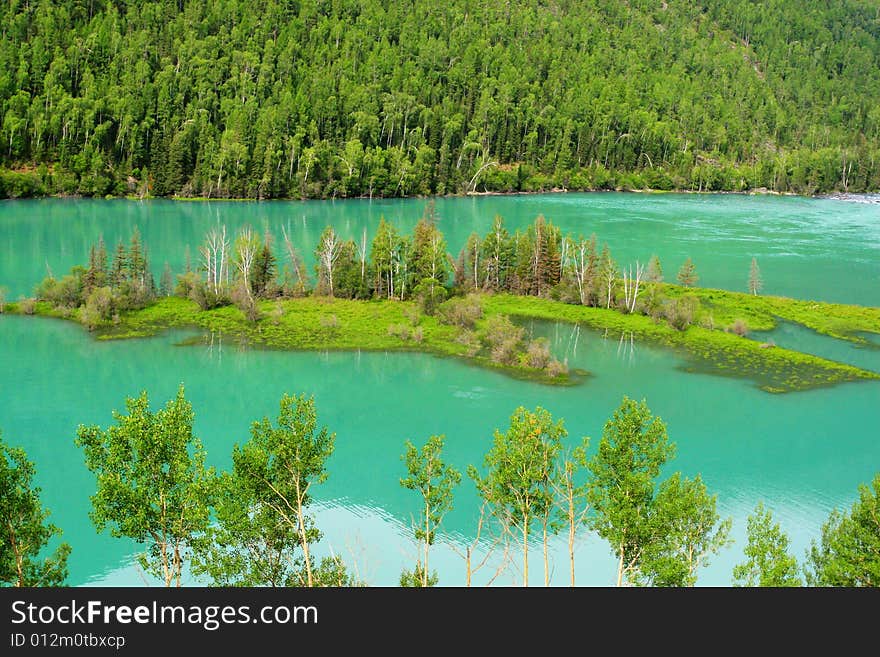 The lake with trees .looks beautiful . The lake with trees .looks beautiful .