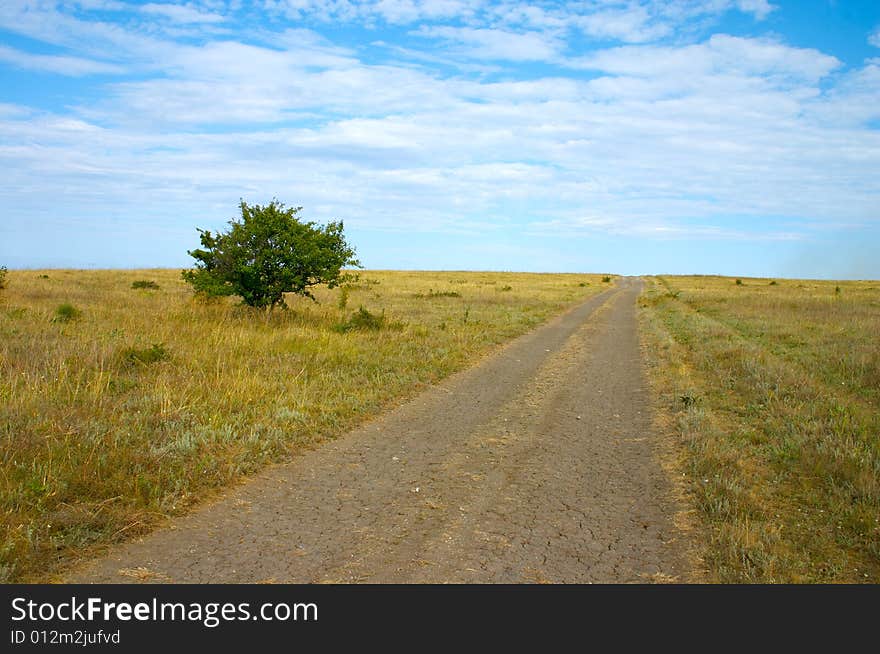 Road in autumn steppe and green tree. Road in autumn steppe and green tree