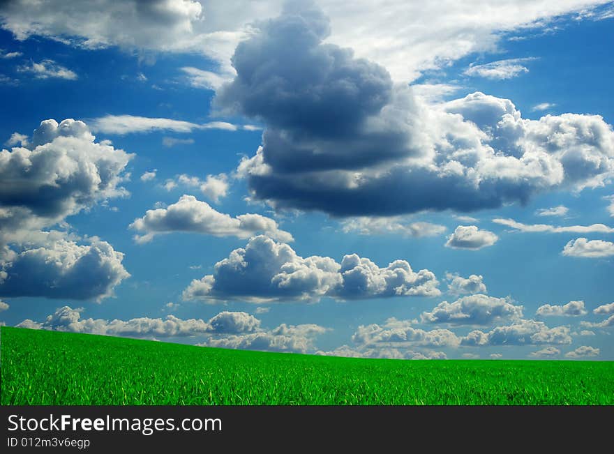 Field on a background of the blue sky. Field on a background of the blue sky