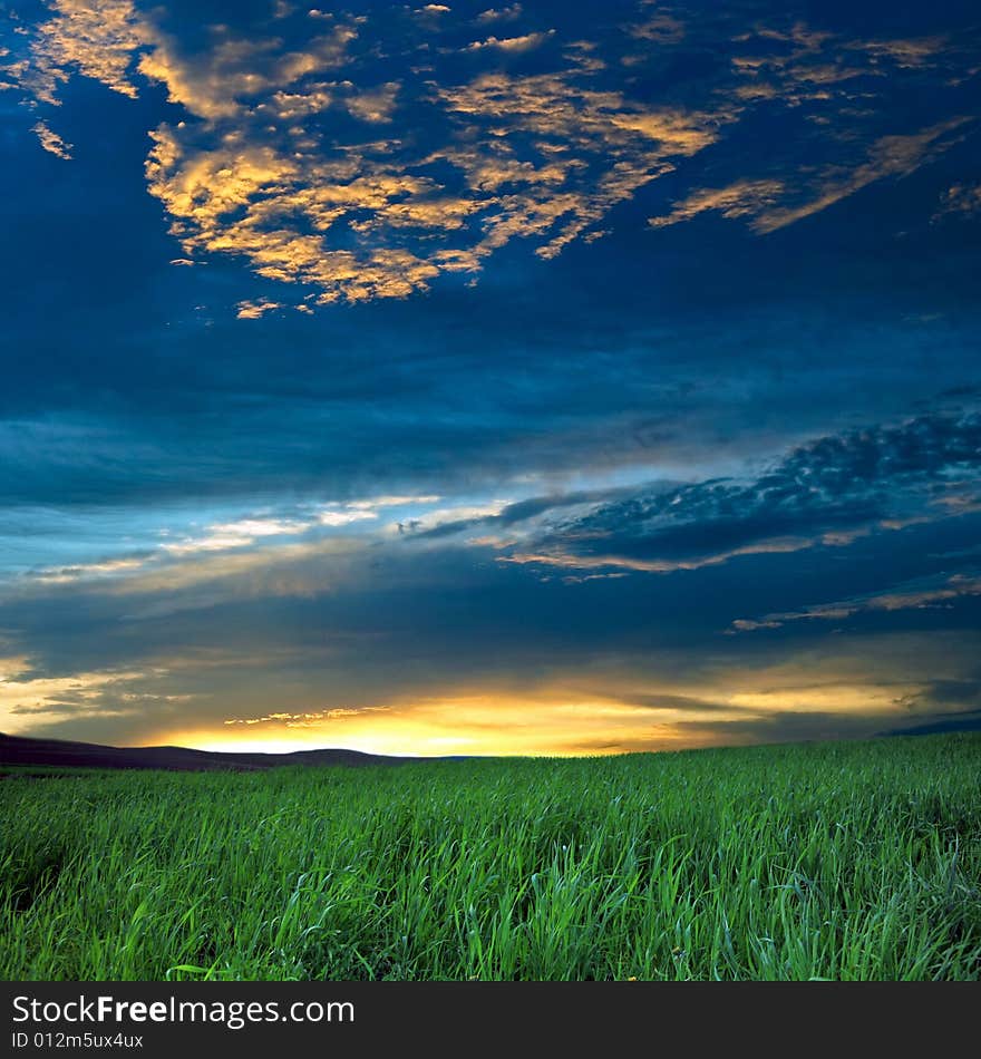 Green field and blue sky with thunder-clouds on it. Green field and blue sky with thunder-clouds on it