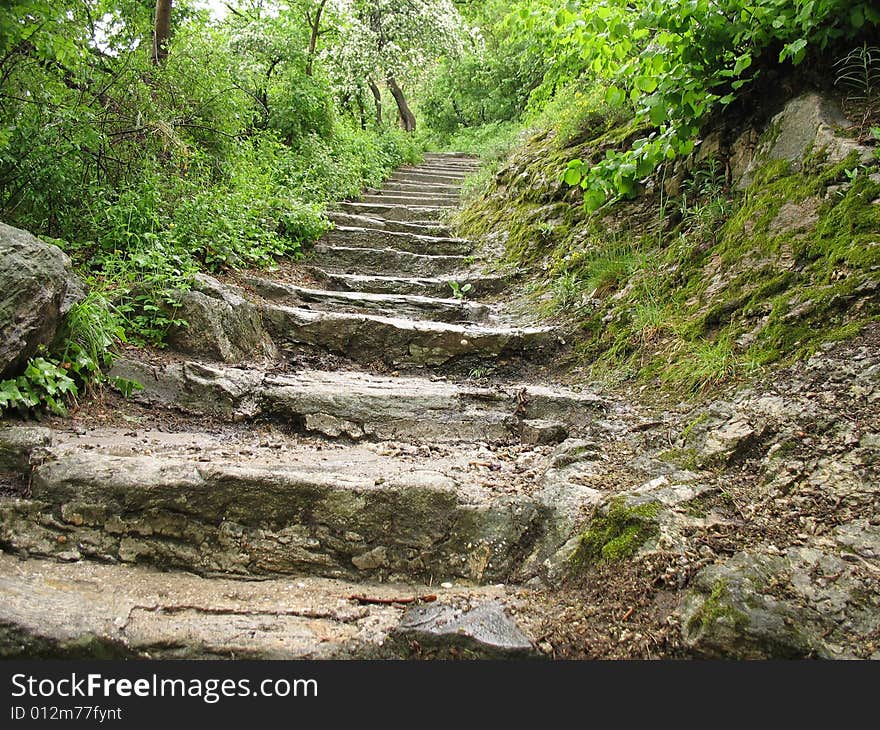 Stairs of stone through dense forest. Stairs of stone through dense forest