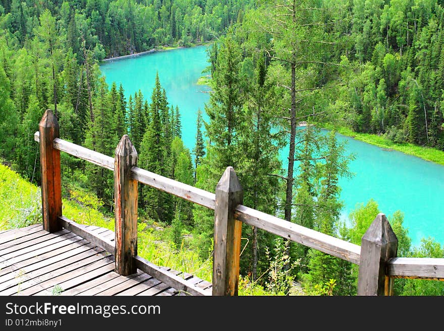 The road through the forest of Canus Water Sinkiang china .