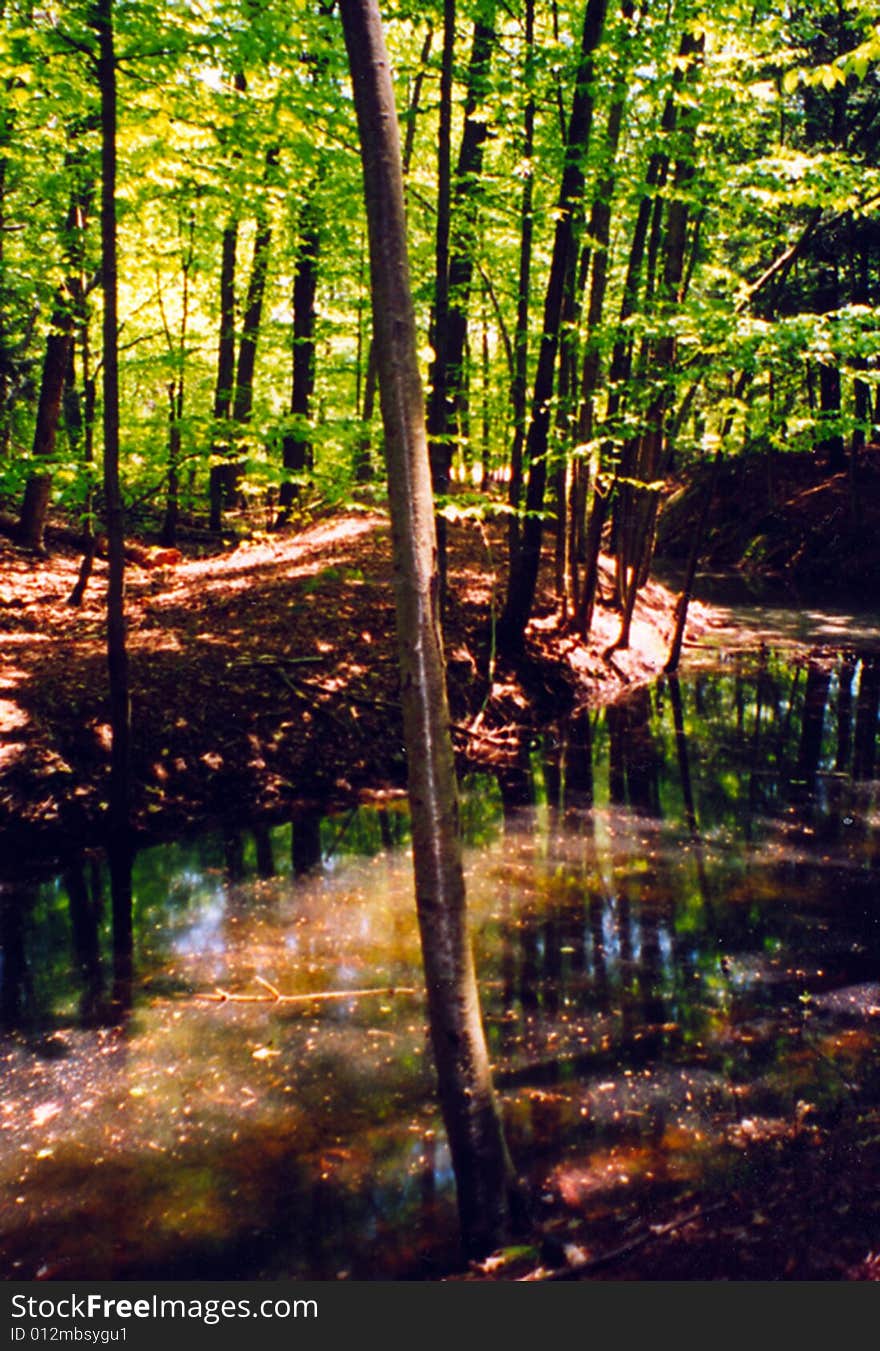 “Broken Heart” pond and rest area, Boston, MA