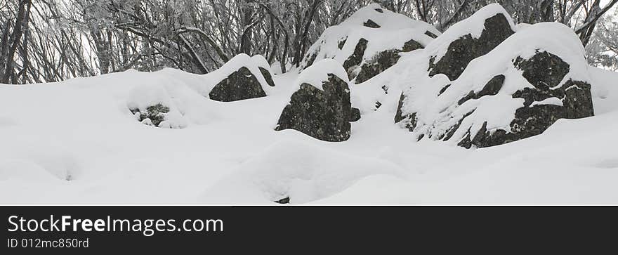 Snowy Rocks