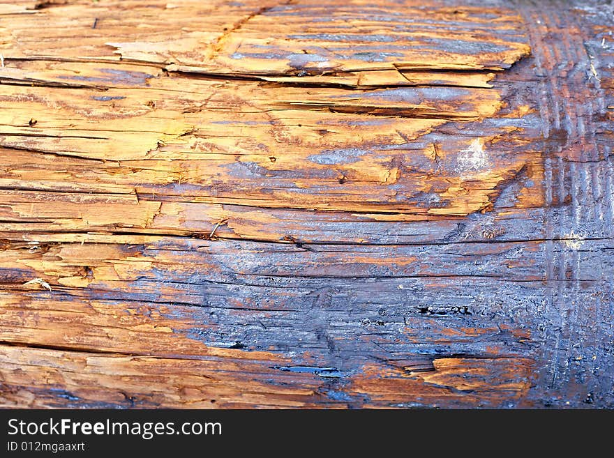 A close-up of tree bark. Useful for textures and backgrounds. A close-up of tree bark. Useful for textures and backgrounds.