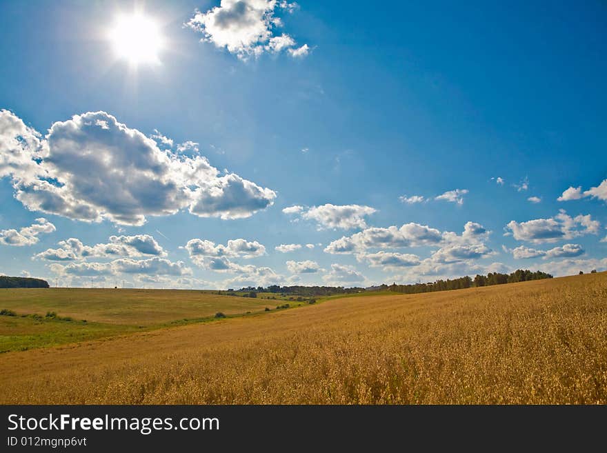 An image of yellow field under blue sky with sun. An image of yellow field under blue sky with sun