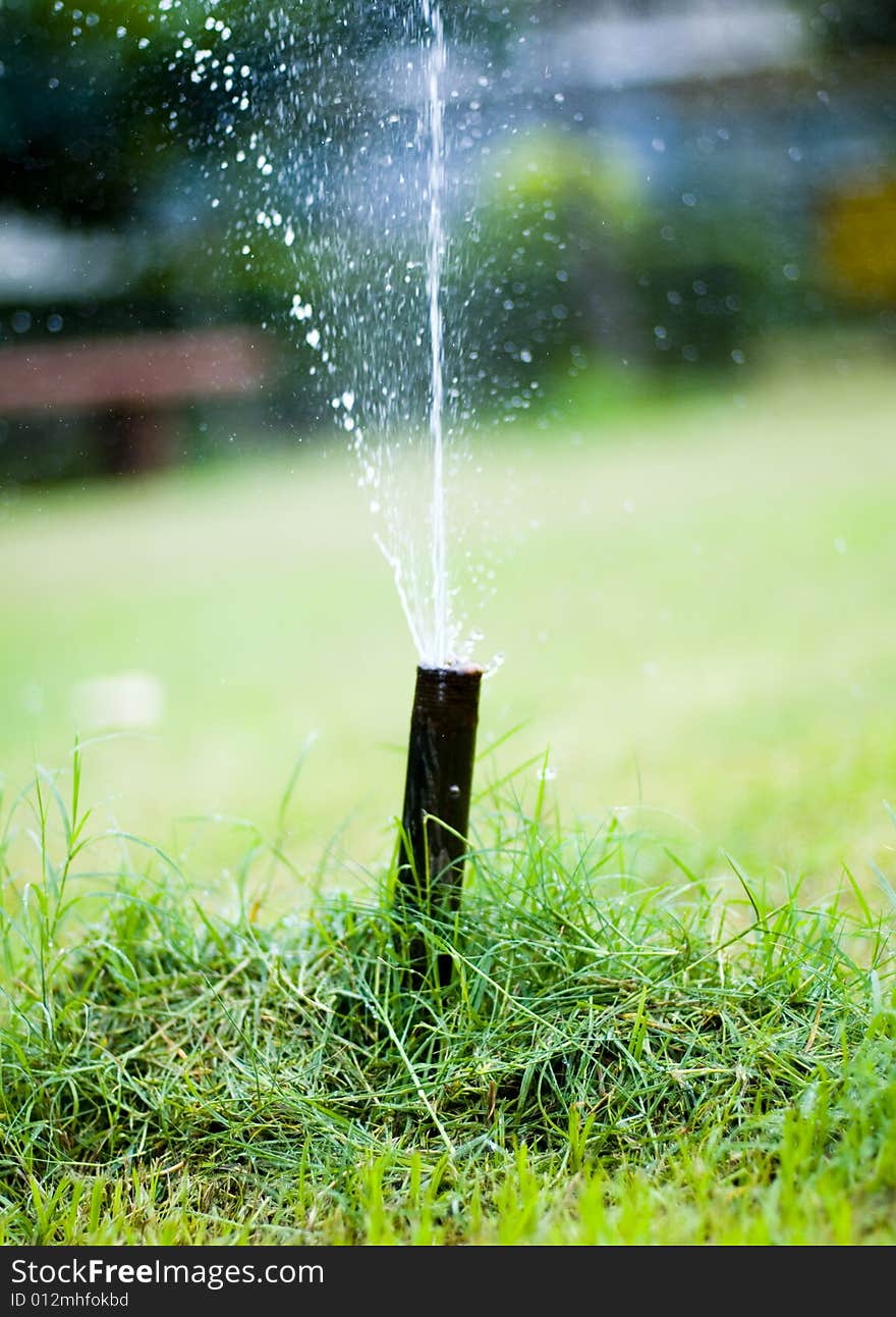 A hunble shot of a garden hose water ,frozen in time . A hunble shot of a garden hose water ,frozen in time .