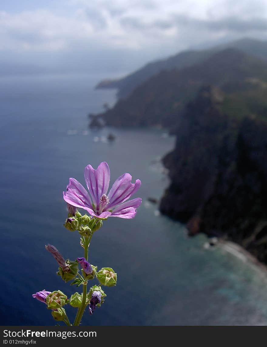 Les calanques  - cliffs of Porto in Corsica