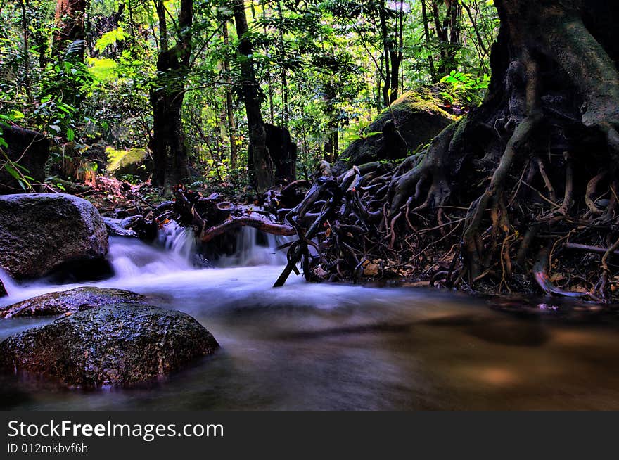 Taken at a waterfall filled with roots. Taken at a waterfall filled with roots