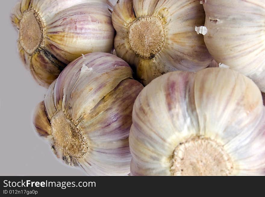 Garlic