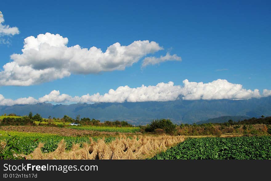 Shooting in Yunnan Province(China),a good natural environment here is a good place for living. Shooting in Yunnan Province(China),a good natural environment here is a good place for living.